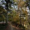 Cochran Shoals - lower gravel section by the Chattahoochee, south entrance.