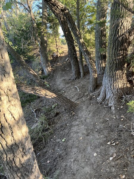 Hard climb near the start of the trail.