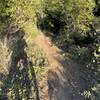 Singletrack