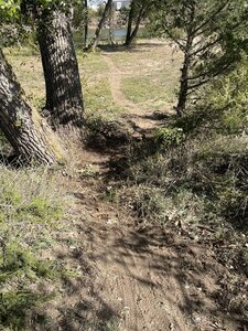 Singletrack