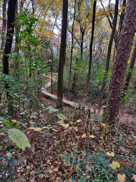 Wooden boardwalk on the Backside Loop, as seen after riding it.