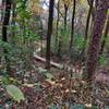 Wooden boardwalk on the Backside Loop, as seen after riding it.