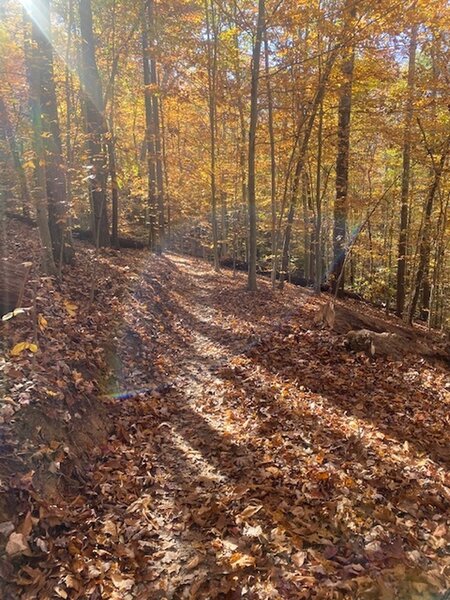 No better time to ride KSF than in the fall.