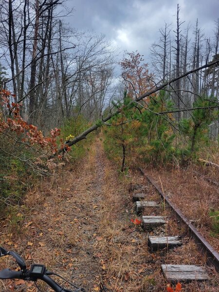 Looking south, a possible short cut to the continuation of Fleming Pike.