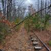 Looking south, a possible short cut to the continuation of Fleming Pike.