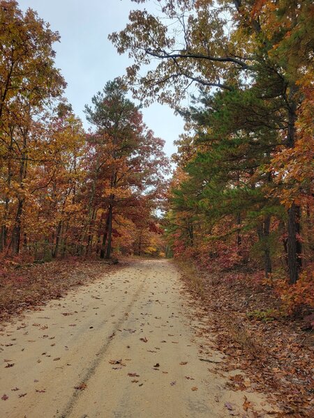 Sandy Causeway, mostly easy riding.