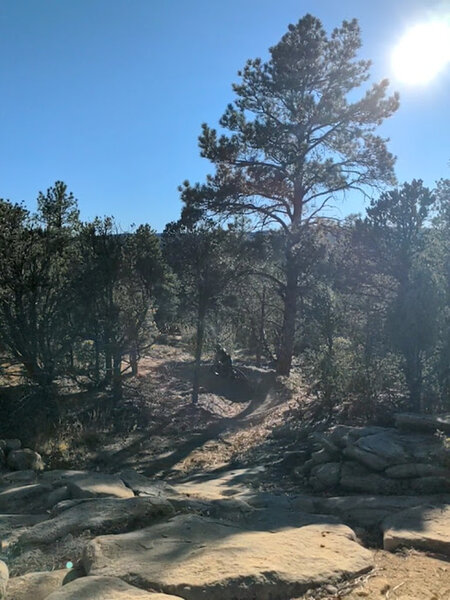 Berms after the slickrock patch. There are two lines here each with a large berm exit.