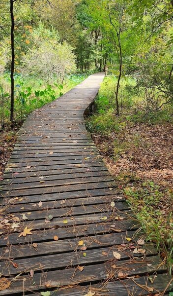 One of several bridges.