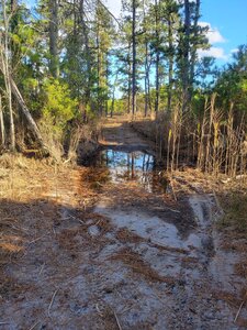 One of several Large Hard to Cross Persistent Puddles blocking trail.