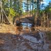 One of several Large Hard to Cross Persistent Puddles blocking trail.