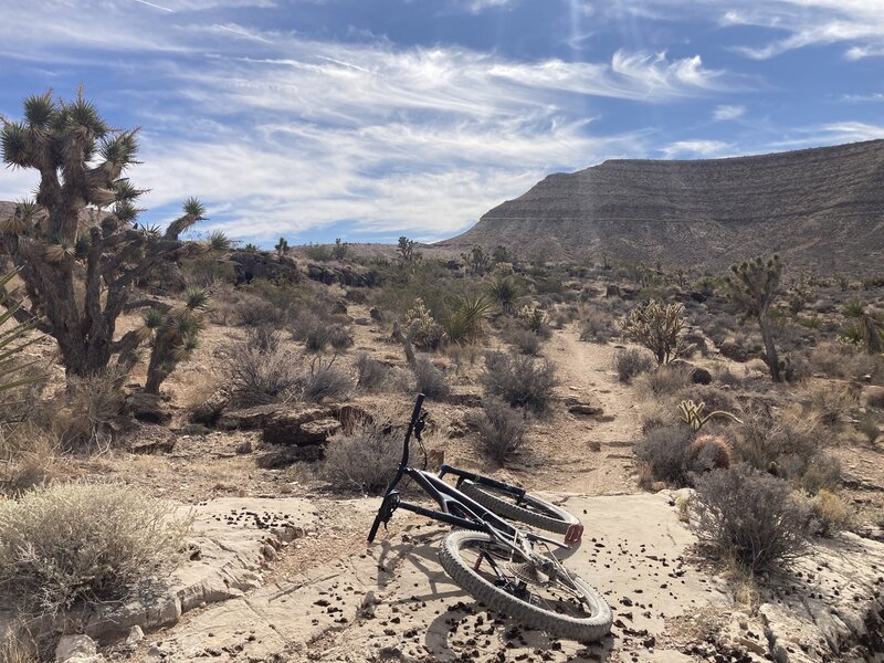 Beautiful desert landscape.