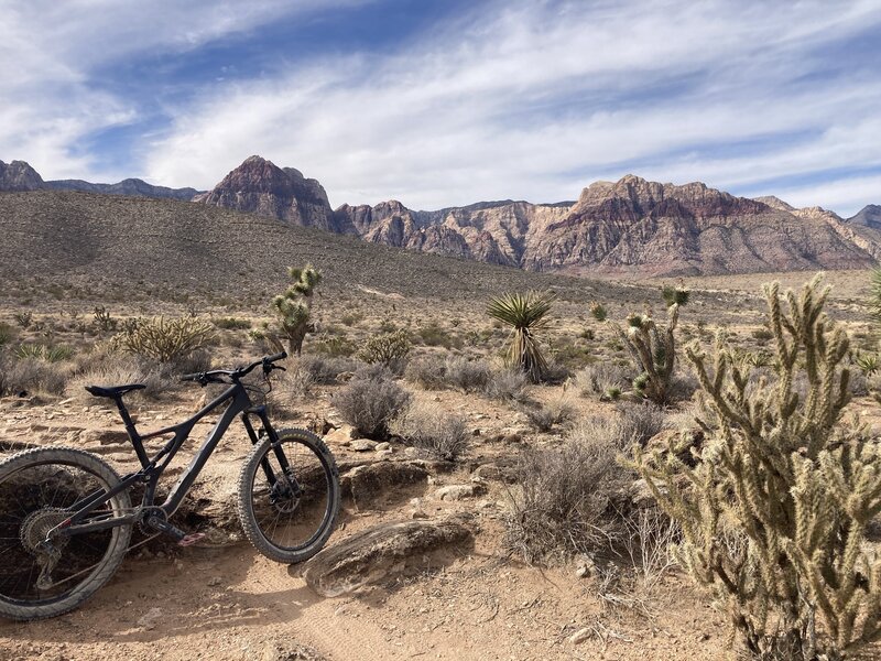 Views of Red Rock.