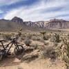 Views of Red Rock.