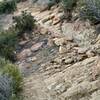 Looking up the last sustained rock climb section before the top of Chumash. It's rideable but very challenging. At the bottom, try hugging the right edge up over the rock mound, which gives you a split second of momentum before charging the main grade.