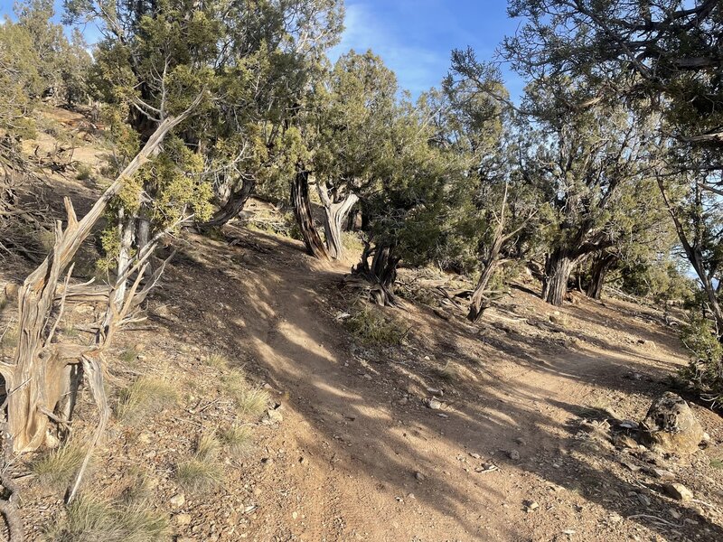 Rewind Ridge to the left and Cucuy De Los Cielos to the right.