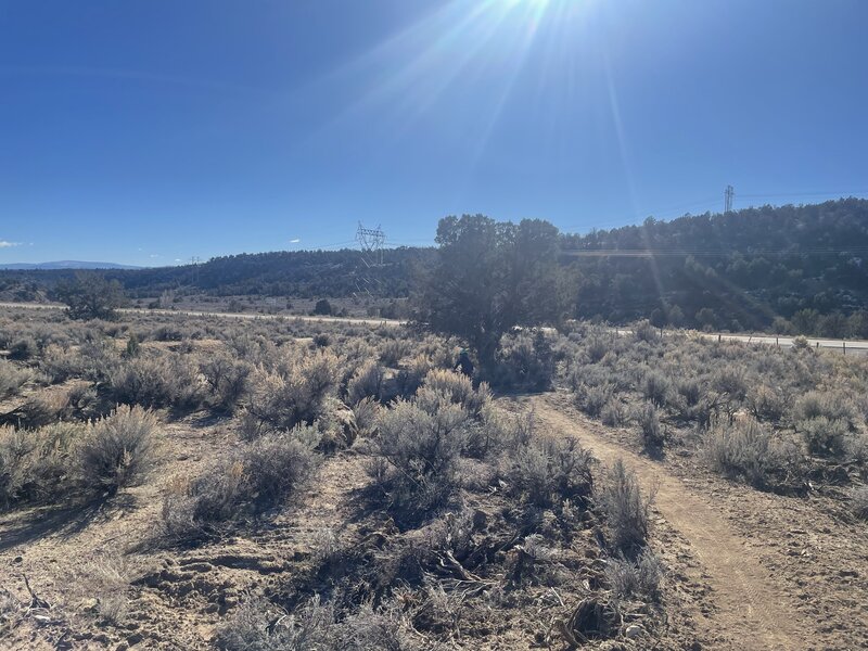 Winding through the sage.