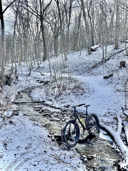 Trails are awesome in the winter time.