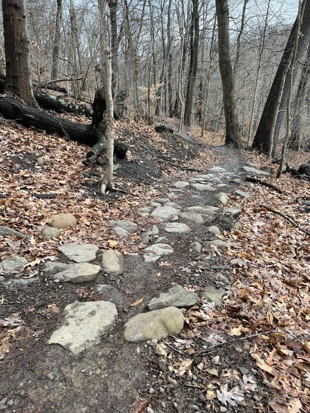 The Dinky Bridge rock garden