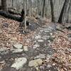 The Dinky Bridge rock garden