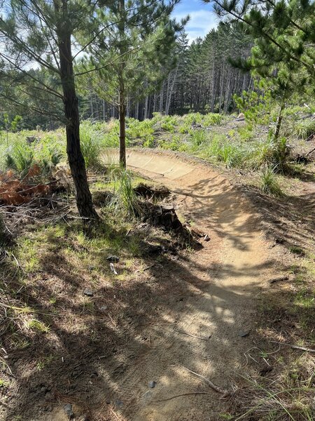 Well maintained berms on Over and Out