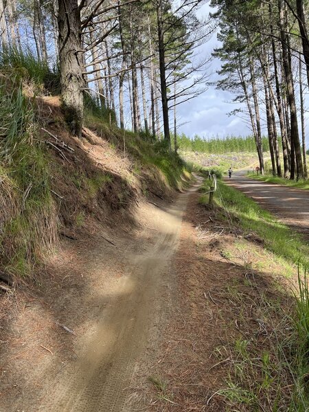 Long straight to finish Over and Out running parallel to Boundary Rd