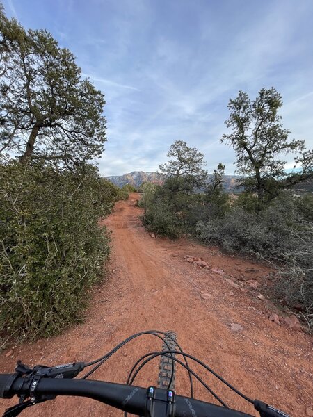 Checking out the view before the bump and jump trail.