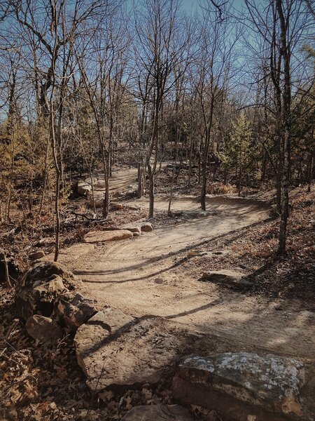 S-turns at Lubell Park trails