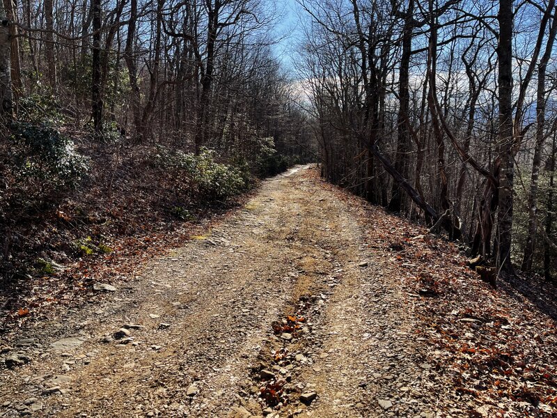 Trey Mountain Rd. just below the AT threaded at the top. (view South).