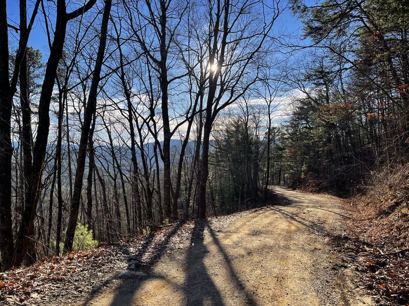 Trey Mountain Road about half way. View SW.