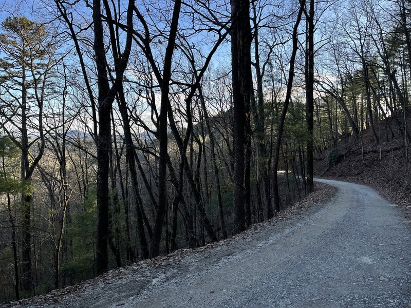 Lower section of Trey Mountain Road just above switchbacks. (View South)