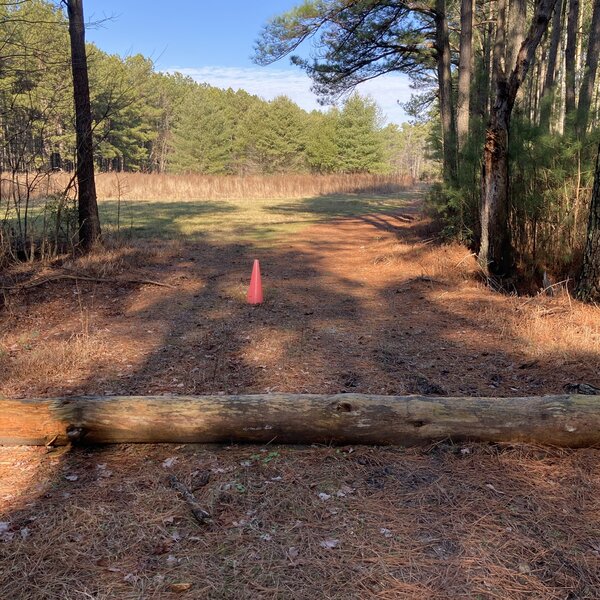 Marked log in trail