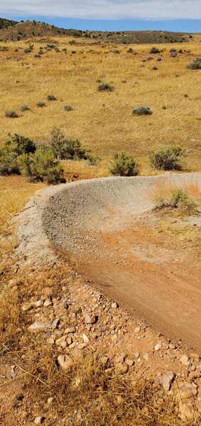 Berm on Moose Tracks