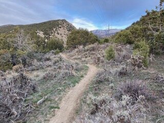 Deer Run Trail