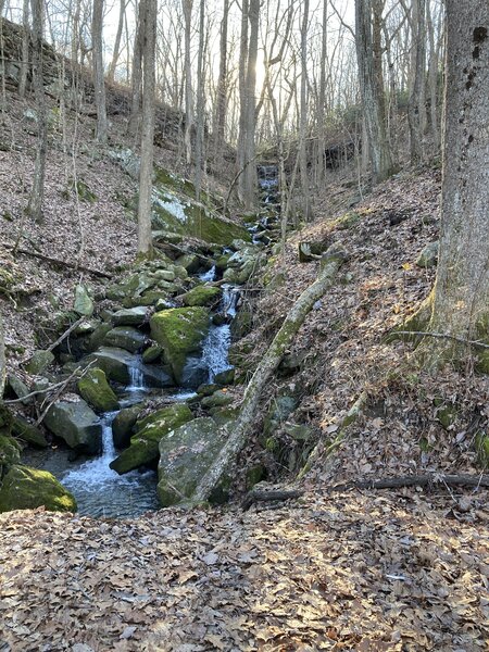 Waterfalls at Perimeter Trail and Roark Cove road.