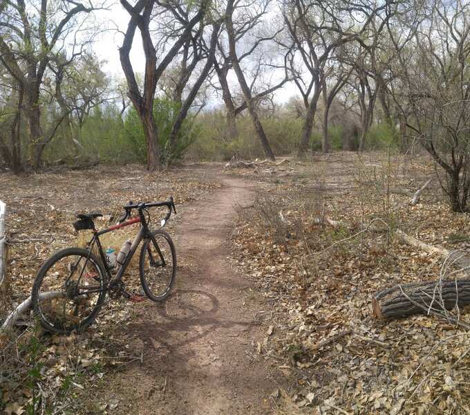 Trail near Bosque Riverine Park