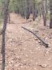 Broken Rail / Trail Marker