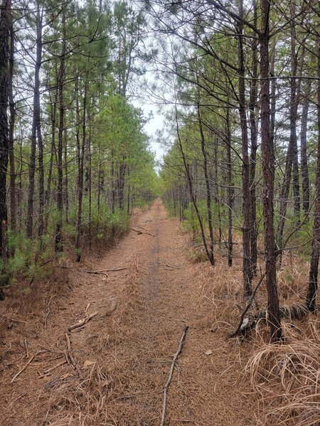 Entrance to Rail Road Service Road