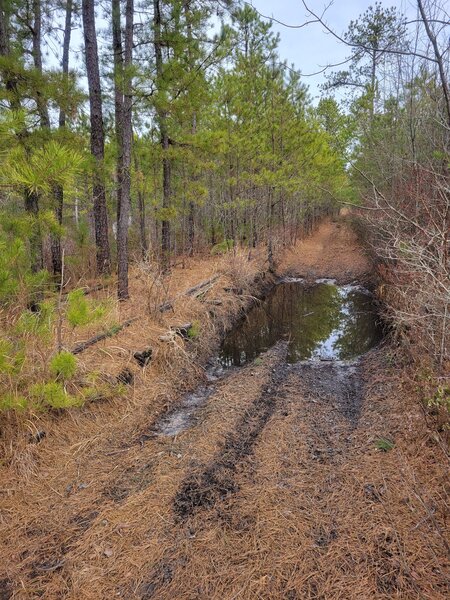 Tracks provide walk arounds