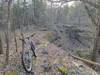 Most of the trail is up on rock with dropoffs between the rocks.