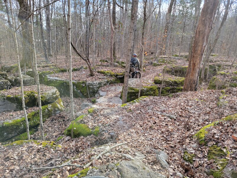 Trail traversing the voids between the rocks.