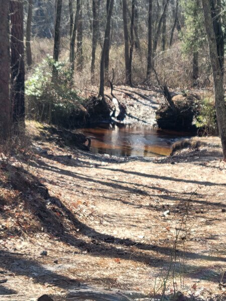 Mullica River and turn