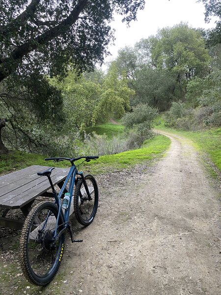 Stop along Edwards Creek Trail