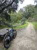 Stop along Edwards Creek Trail