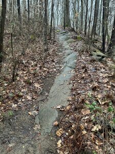 Rock slab in February