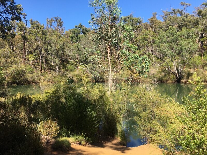 Barrabup Workers Pool