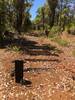 Remnants of old rail sleepers on the Sidings Trail (the Munda Biddi uses the Sidings Rail Trail for this section).