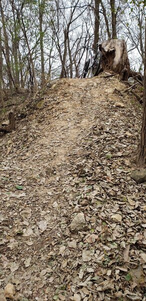 One one of many short sharp climbs at Quarry Park.