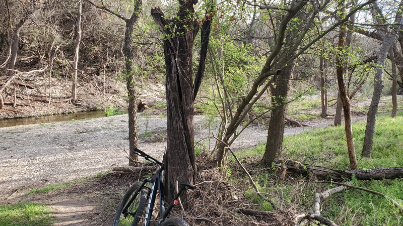 Creek just off the trail.