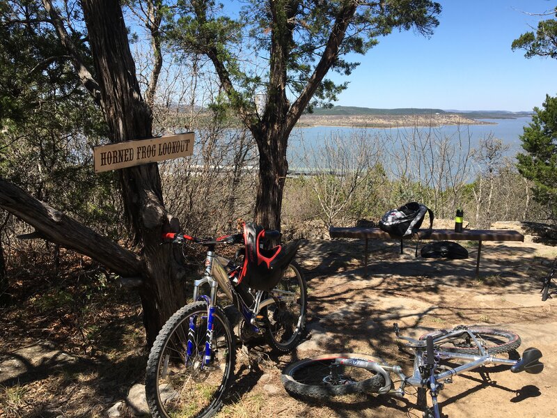 Horned Frog Lookout