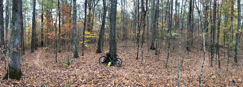 Photo taken from "The Big Rock" which is across the bridge, the best section of the Mason's Bluff loop.